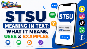 wordconfusion-STSU Meaning in Text: What It Means, Uses & Examples-Featured image
