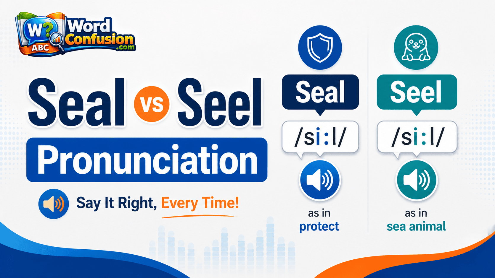 Seal vs Seel Pronunciation-webp